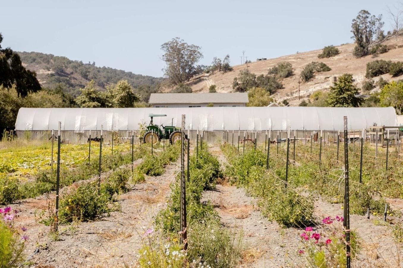 Wild Hair Studio-Stylish Farm Stay W Ev Charger 아로요그레이드 외부 사진